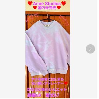 アクネストゥディオズ(Acne Studios)の❤️Acne Studios❤️日本未発売激レアトレーナー(トレーナー/スウェット)