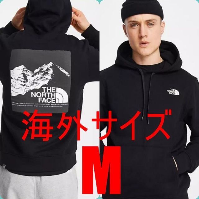 【The North Face】 バックグラフィック ★パーカー