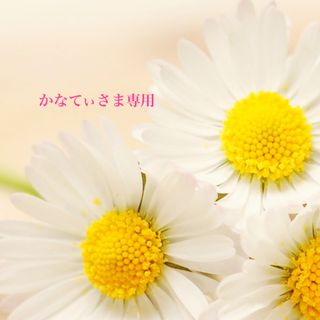 かなてぃさま専用の通販 by pono☆'s shop|ラクマ