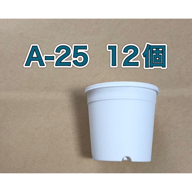 《A-25》白 12個 2.5号 丸型 スリット鉢 プラ鉢 多肉植物 ハンドメイドのフラワー/ガーデン(プランター)の商品写真