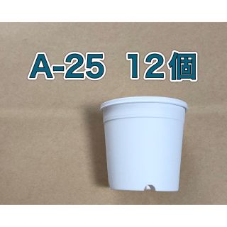 《A-25》白 12個 2.5号 丸型 スリット鉢 プラ鉢 多肉植物(プランター)