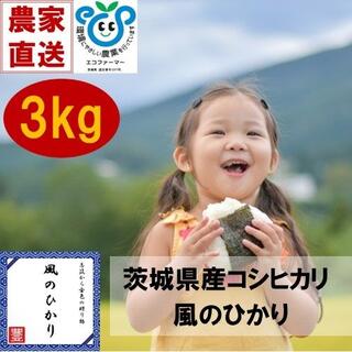 茨城県産コシヒカリ　風のひかり3kg(米/穀物)