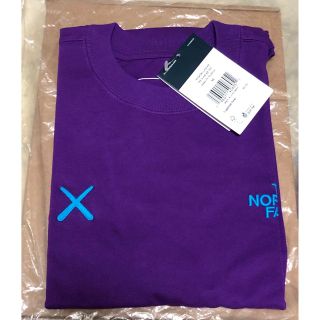 ザノースフェイス(THE NORTH FACE)のThe North Face Kaws Tee カウズ  Tシャツ(Tシャツ/カットソー(半袖/袖なし))