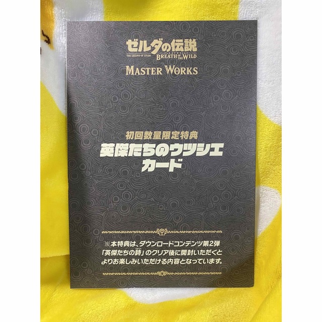 任天堂(ニンテンドウ)のゼルダの伝説ハイラルグラフィックス エンタメ/ホビーの本(アート/エンタメ)の商品写真