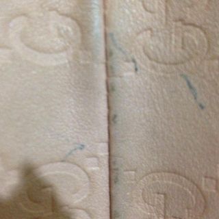 グッチ(GUCCI)のGUCCIポーチ(ポーチ)