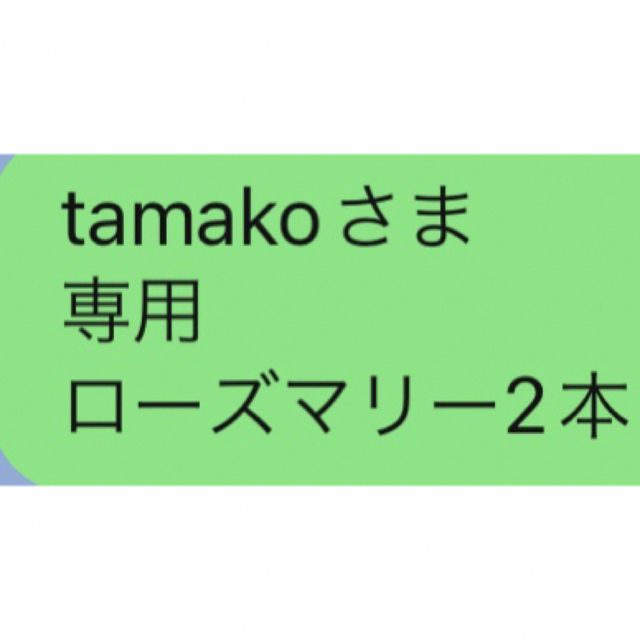 tamakoさま 専用 ローズマリー2本