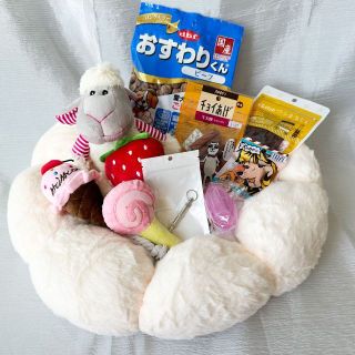 ♫お楽しみよくばりセット♫ Dセット　ワンちゃんへのクリスマスプレゼントに！！