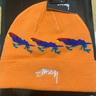 ステューシー(STUSSY)のStussyニットキャップ(ニット帽/ビーニー)