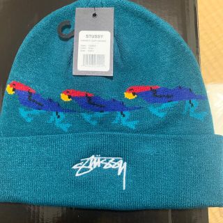 ステューシー(STUSSY)のStussy ニットキャップ(ニット帽/ビーニー)