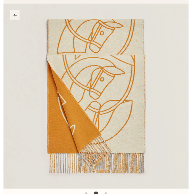 大人気新品 Hermes - 新品未使用 エルメス カシミアマフラー 2022秋冬