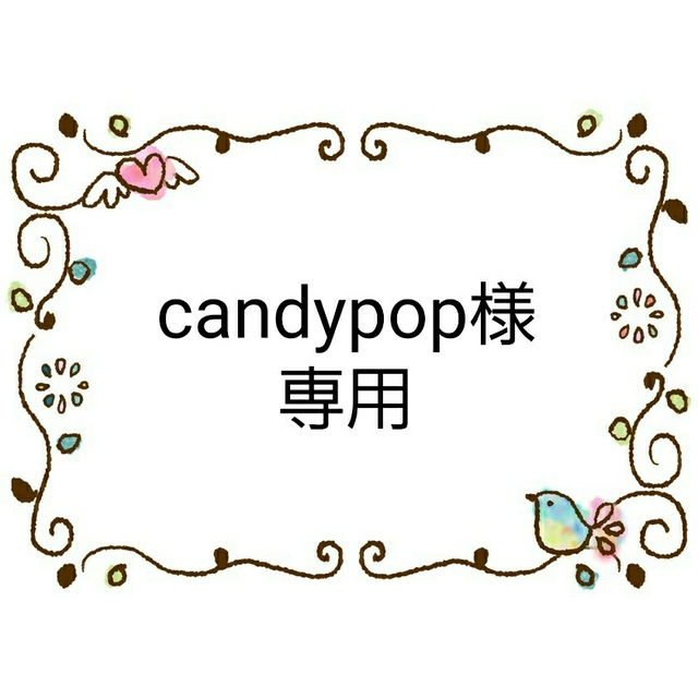 Disney(ディズニー)のcandypop様専用　キッズサイズ　インナーマスク　ディズニープリンセス ハンドメイドのキッズ/ベビー(外出用品)の商品写真