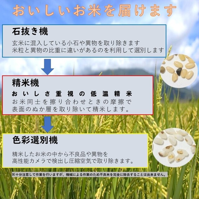 4年産　夢つくし　お米　白米　20kg　米/穀物