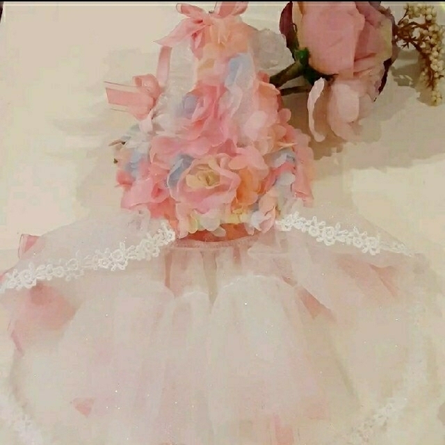 最大値下げリュクスバーディーluxebirdieペダルドレスSSバレッタセット
