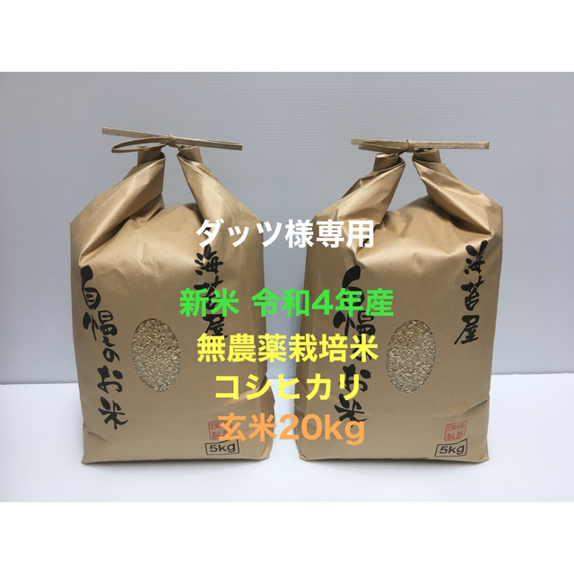 ダッツ様専用 新米 無農薬コシヒカリ玄米20kg(5kg×4)令和4年産の+