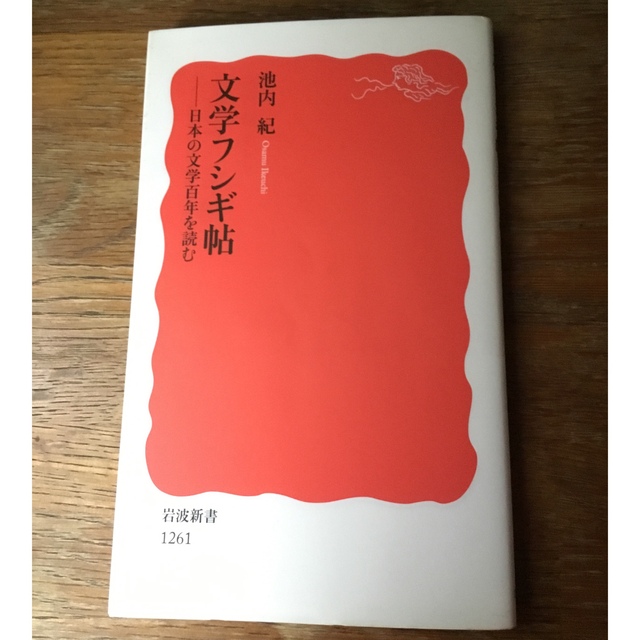 岩波新書『文学フシギ帖 : 日本の文学百年を読む』池内紀　岩波書店 エンタメ/ホビーの本(文学/小説)の商品写真