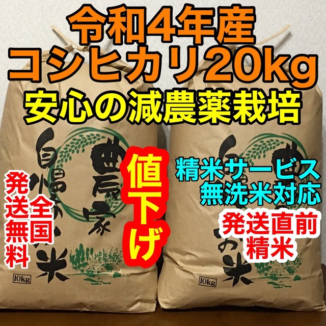 新米コシヒカリ10kg茨城県産◉無洗米・白米対応　米