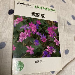 雪割草　NHK趣味の園芸　よくわかる栽培12か月(趣味/スポーツ/実用)