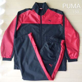 プーマ(PUMA)のプーマ キッズ ウィンドブレーカー 上下  セットアップ 裏起毛  150(パンツ/スパッツ)