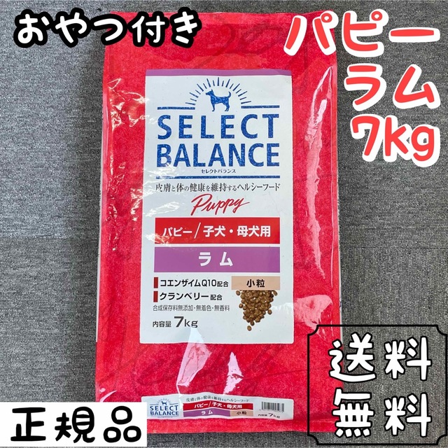 セレクトバランス ラム 小粒 7kg パピー ドックフード ペットフード-