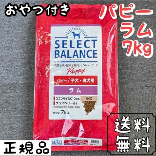 セレクト(SELECT)のセレクトバランス ラム 小粒 7kg パピー ドックフード  ペットフード (ペットフード)