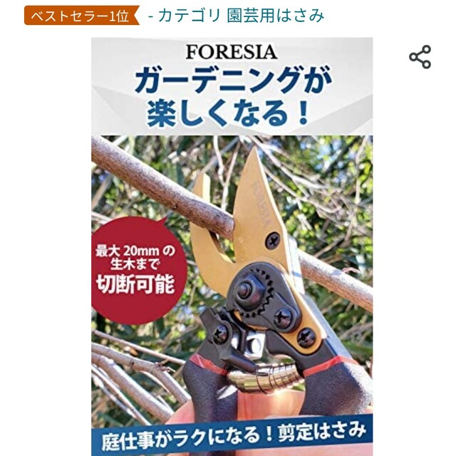 枝切ばさみ インテリア/住まい/日用品の文房具(はさみ/カッター)の商品写真