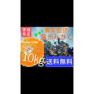 愛媛県産訳ありみかん　10キロ　残り10箱(フルーツ)