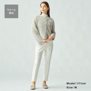 プラステ(PLST)のPLUS STYLE スティックパンツ（ウォームリザーブ）(クロップドパンツ)