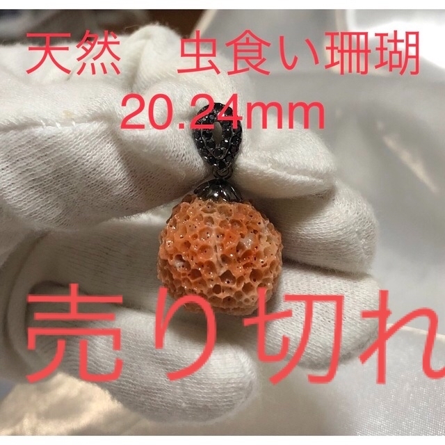 天然虫食い珊瑚　20.24mm