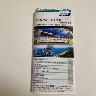 エーエヌエー(ゼンニッポンクウユ)(ANA(全日本空輸))のANA 株主優待券1枚+グループ優待券(その他)