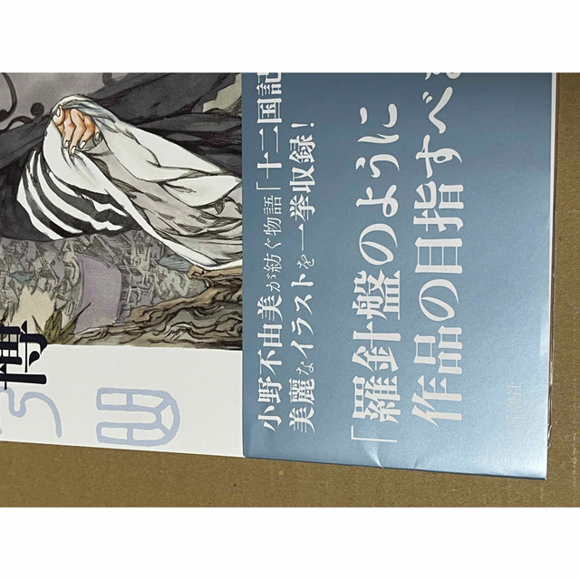 小野不由美・山田章博／十二国記 画集《久遠の庭》《青陽の曲》2冊セット エンタメ/ホビーの本(文学/小説)の商品写真