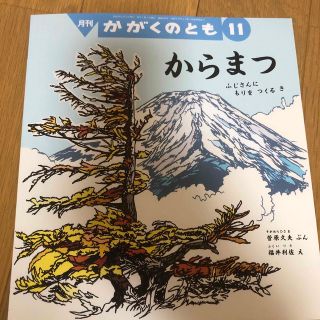 かがくのとも 2022年 11月号(絵本/児童書)