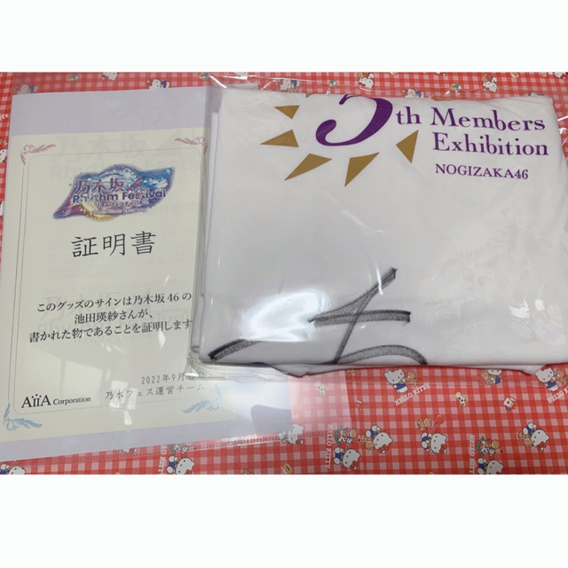 メール便送料無料対応可】 乃木坂46 池田瑛紗 直筆 チケットホルダー
