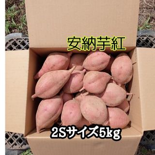 安納芋紅2Sサイズ5kg(種子島産)(野菜)