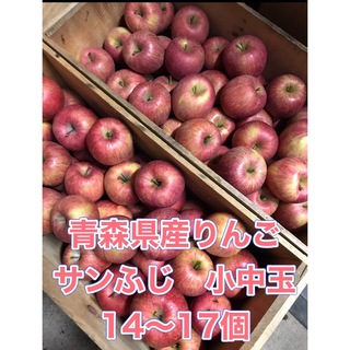 青森県産りんご　サンふじ　小中玉(フルーツ)