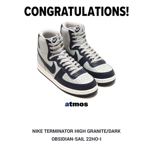 NIKE TERMINATOR HIGH ターミネーター