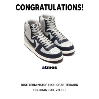 ナイキ(NIKE)のNIKE TERMINATOR HIGH ターミネーター(スニーカー)