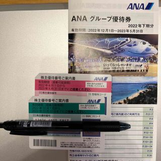 エーエヌエー(ゼンニッポンクウユ)(ANA(全日本空輸))のANA株主優待割引券(その他)