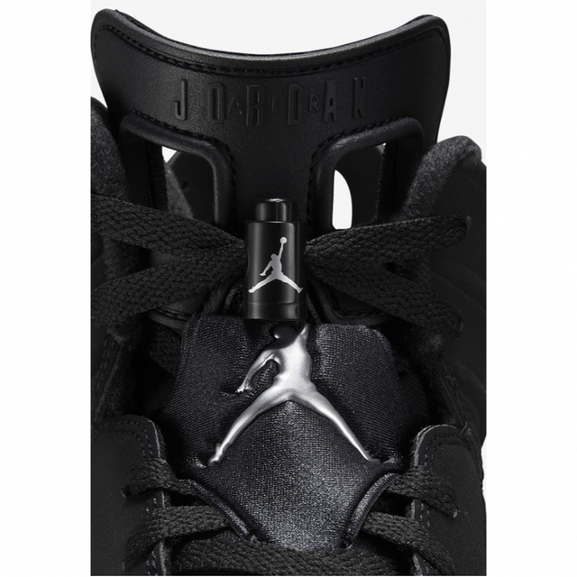 NIKE(ナイキ)の【新品未使用】エアジョーダン6 レトロ　28cm メタリックシルバー メンズの靴/シューズ(スニーカー)の商品写真