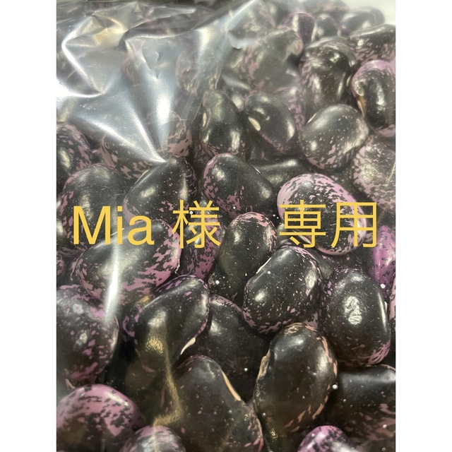 Mia 様　専用 食品/飲料/酒の食品(野菜)の商品写真