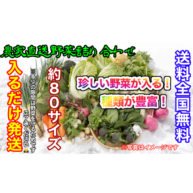 おまかせ冬野菜詰め合わせ約80サイズ入るだけ発送！最終値下げ！ 食品/飲料/酒の食品(野菜)の商品写真