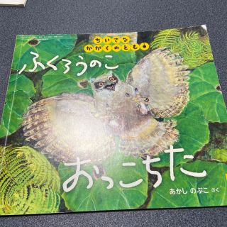 ちいさなかがくのとも 2020年 05月号(絵本/児童書)