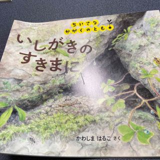 ちいさなかがくのとも 2020年 06月号(絵本/児童書)