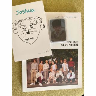 SEVENTEEN IDEAL CUT写真集　2018(アイドルグッズ)