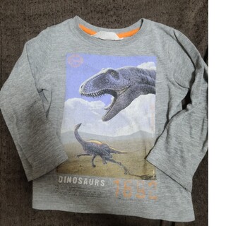 エイチアンドエム(H&M)のh&m 恐竜ロンティ　使用感あり90サイズ(Tシャツ/カットソー)