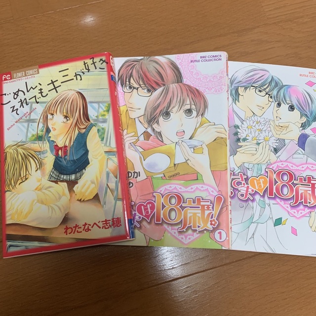 奥さまは18歳　ごめん、それでもキミが好き エンタメ/ホビーの漫画(女性漫画)の商品写真