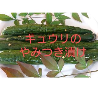 キュウリのやみつき漬けと小松菜漬物セット(漬物)