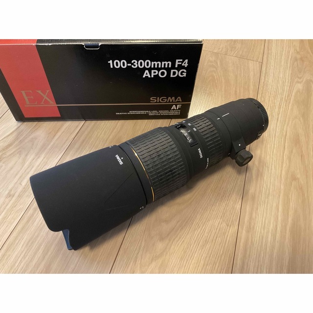 SIGMA APO100-300F4EX DG HSM/C