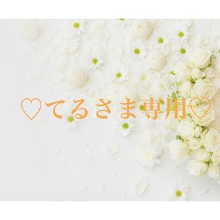 ♡てるさま専用♡(入浴剤/バスソルト)