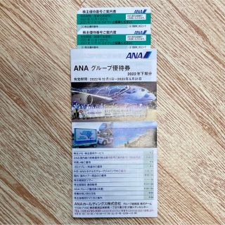 エーエヌエー(ゼンニッポンクウユ)(ANA(全日本空輸))のANA 株主優待券2枚(その他)