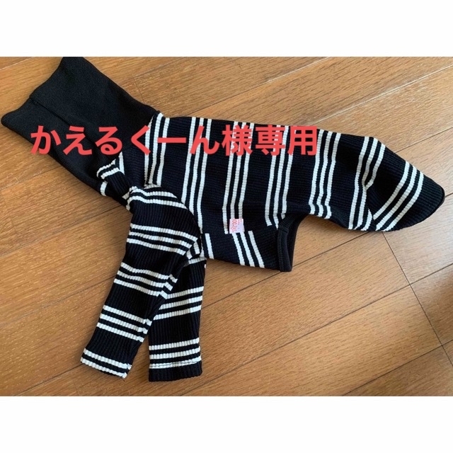 イタグレ服　3枚セット